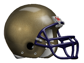 1994-95 Helmet